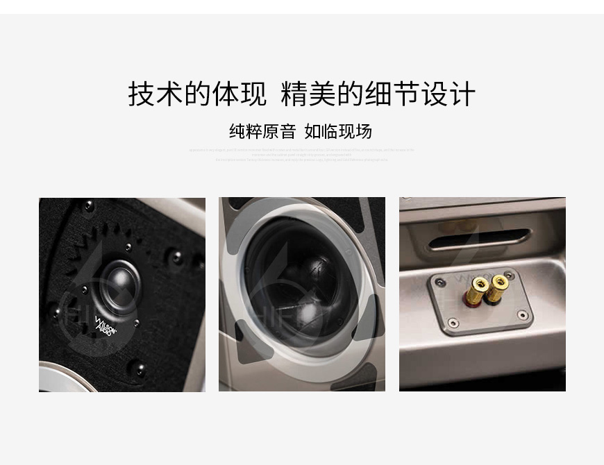 威信,Tune Tot,Wilson Audio Tune Tot,威信音箱