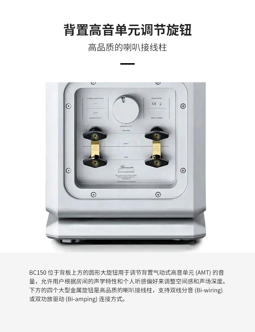 柏林之声Burmester BC150,柏林之声 BC150 落地箱,Burmester BC150 落地箱,Burmester BC150